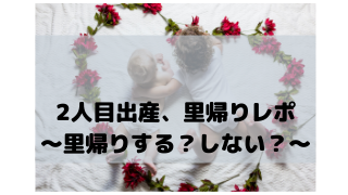 2人目出産 2歳差育児 里帰り出産レポ 葉っぱブログ